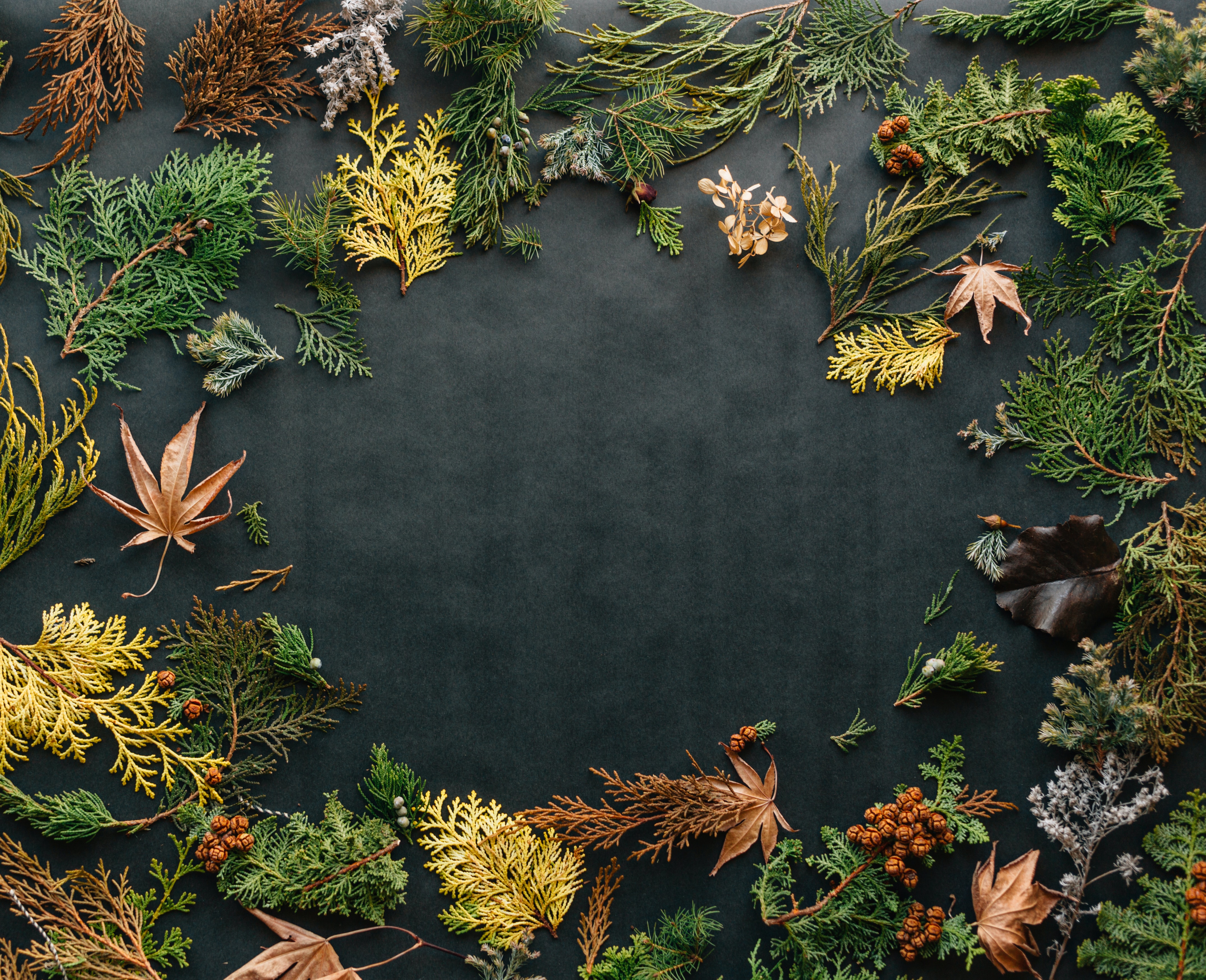 erol-ahmed-IHL-Jbawvvo-unsplash